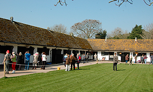 Visit Some of the Leading Stables in the UK